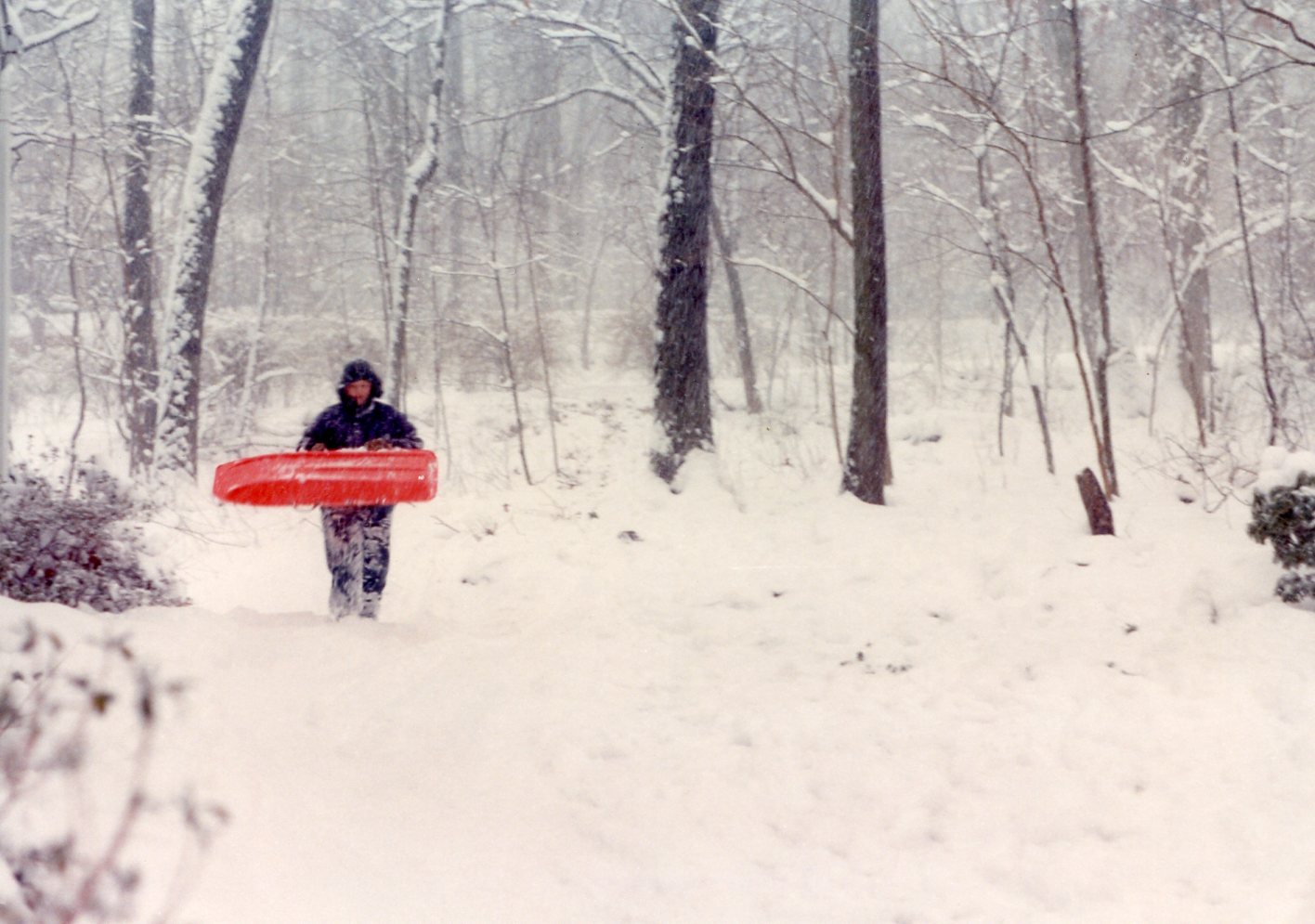 sledding sled