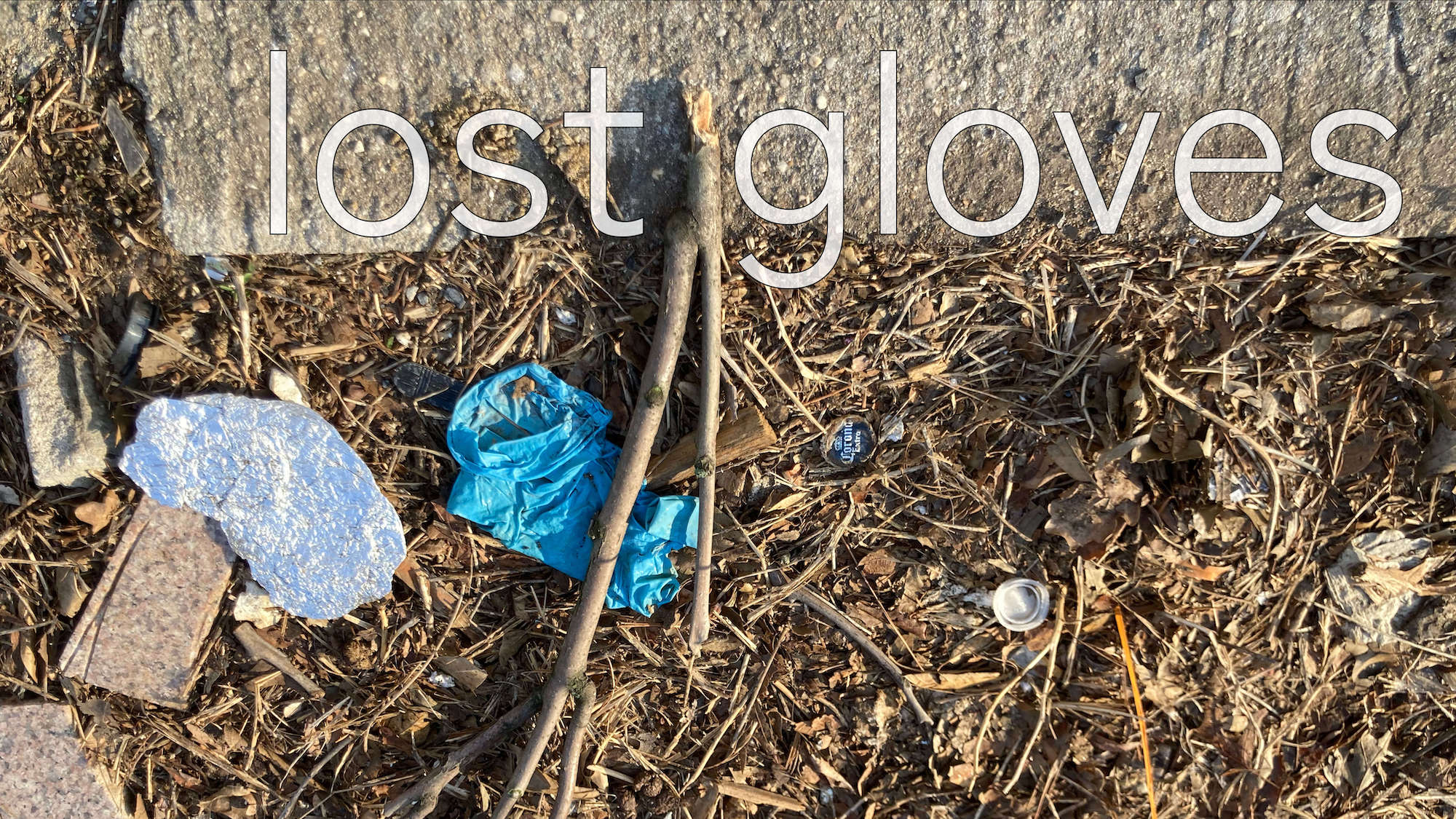 lost gloves